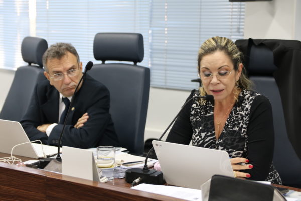 Conselheira federal Eloíza Correa defendeu