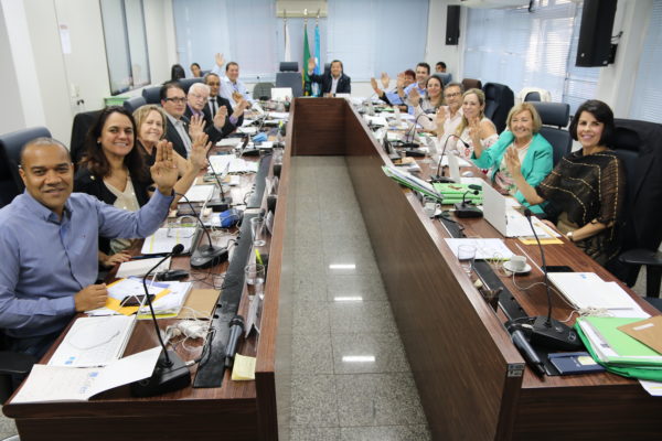 Parecer do conselheiro Gilvan Brolini foi aprovado por unanimidade