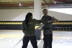 Brigada Voluntária