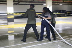 Brigada Voluntária