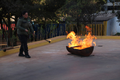 Brigada Voluntária