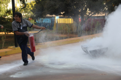 Brigada Voluntária