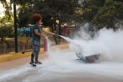 Brigada Voluntária